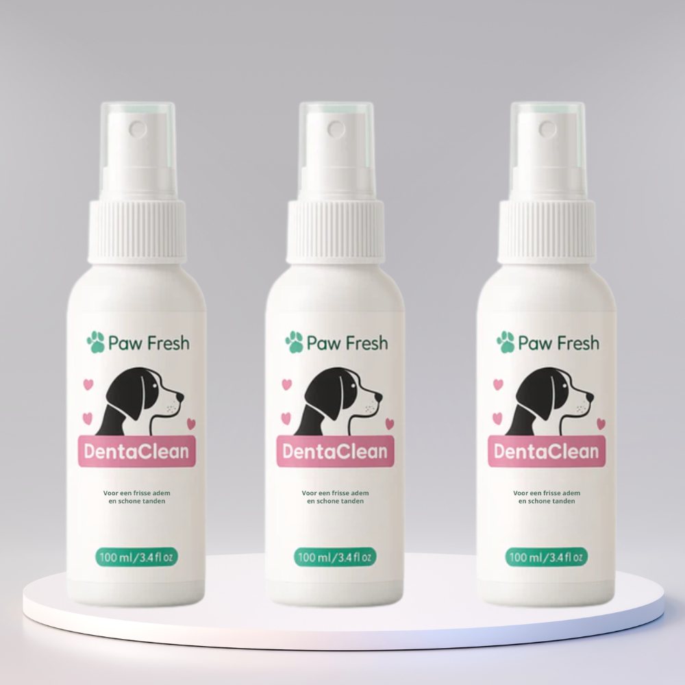 DentaClean™