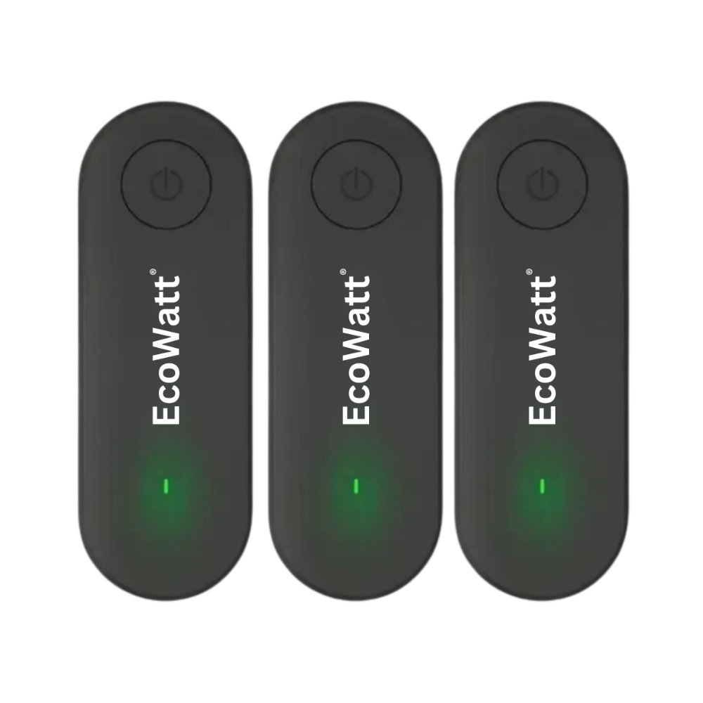 EcoWatt®