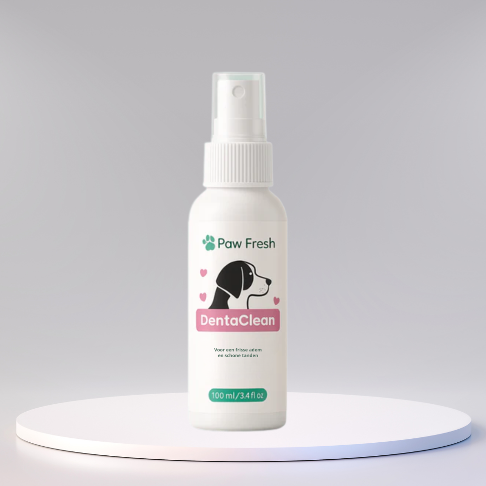 DentaClean™