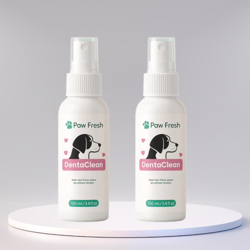 DentaClean™